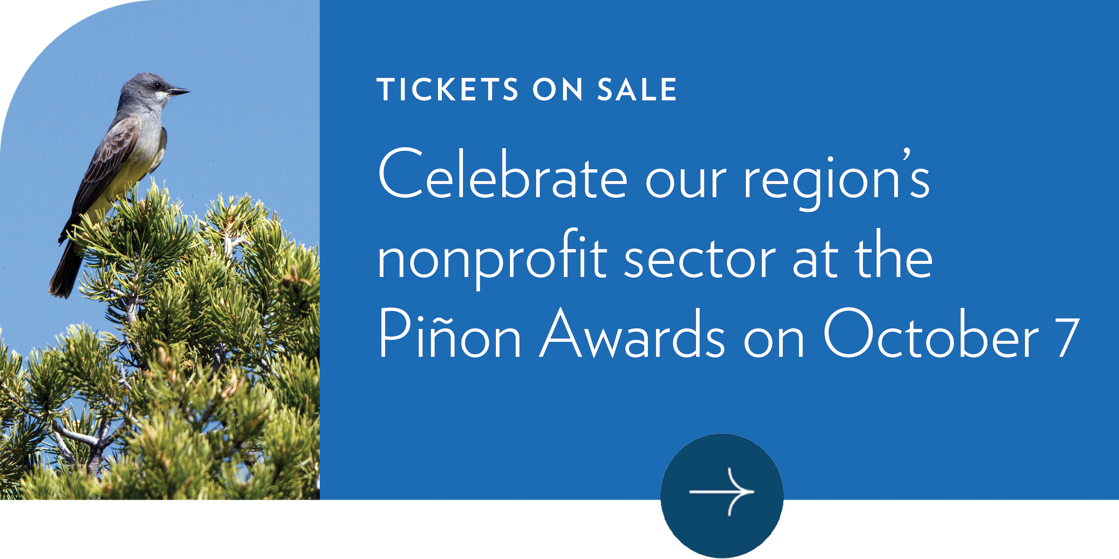 Santa Fe Community Foundation Logo