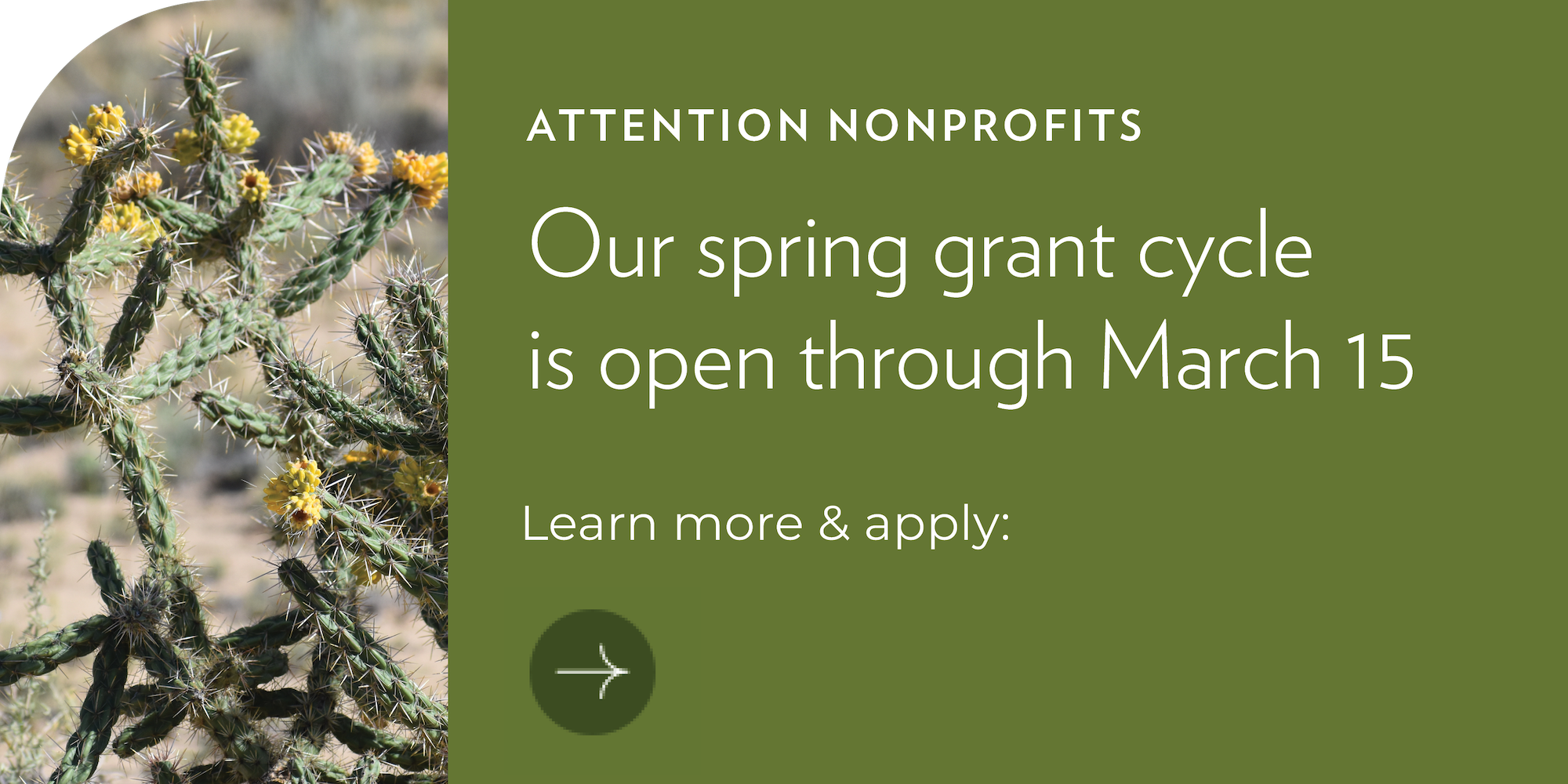 Santa Fe Community Foundation Logo